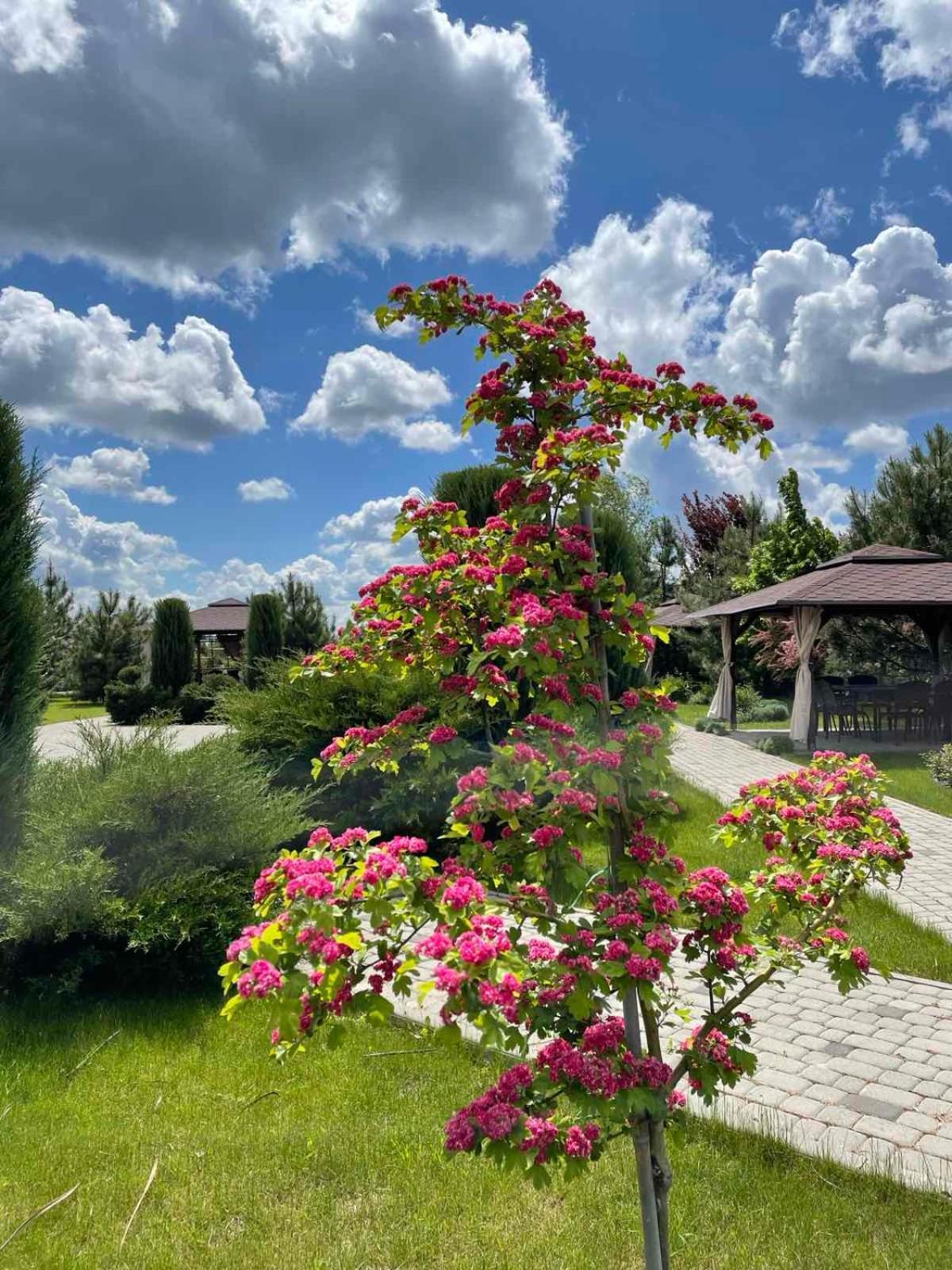 Ostrov River Club Novosëlovka エクステリア 写真